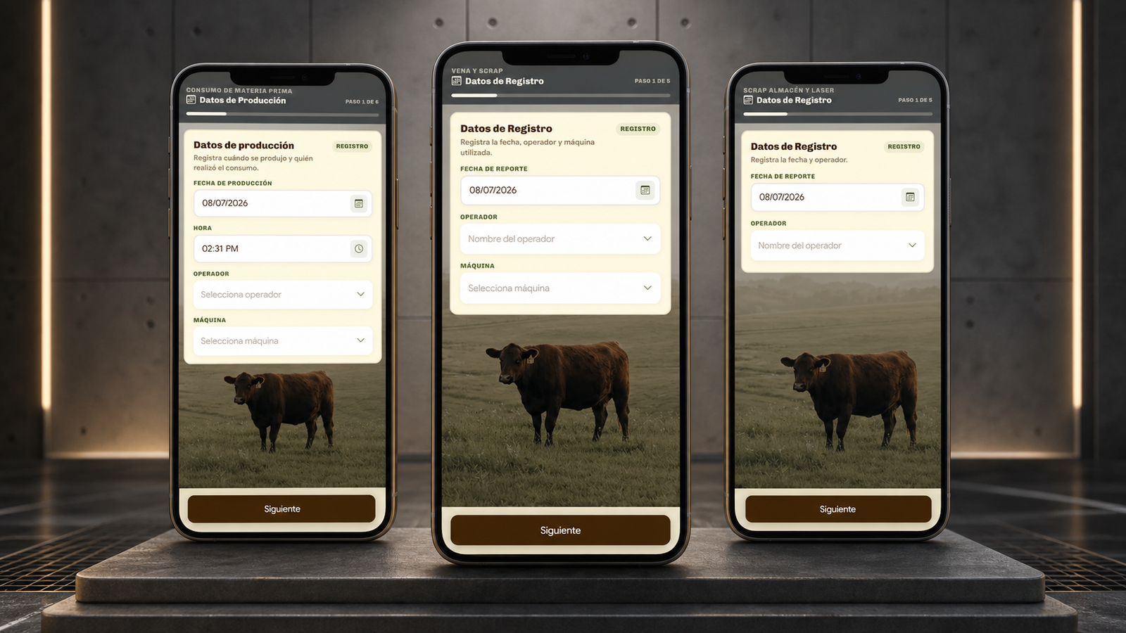 Divisan guided forms interface